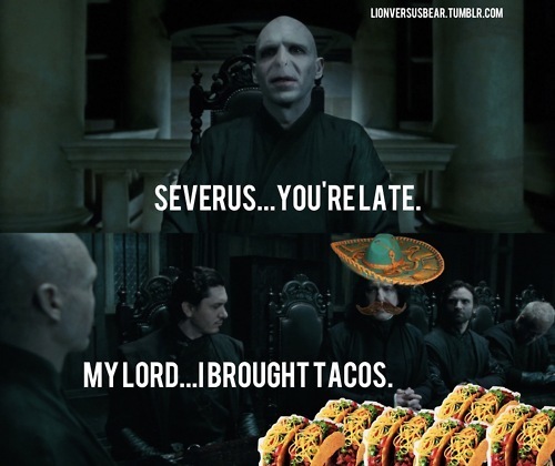 potter-tacos