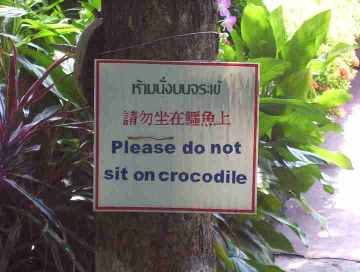 please.dont.sit.on.crocodile